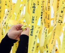 세월호 '영웅들', 성금 받으면 의사자 보상금 못 받는다고?