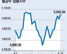 [오늘의포인트]시장 숨고를때 오르는 철강株