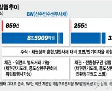 [단독]분리형 BW 금지 1년만에 발행 허용 추진
