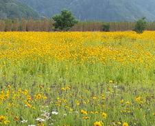 자유와 해방을 맛볼 수 있는 아주 간단한 방법