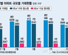 [단독]중대형 하우스푸어 구제 '희망임대리츠' 내달 출시