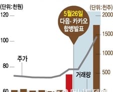 [단독]금감원, 다음·카카오 합병 사전 유출 조사착수