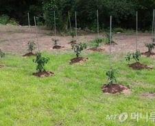 최양희 후보자 '고추밭 논란', 누가 심었냐는 질문에…