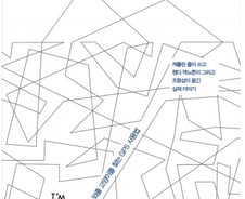 우리집 고양이는 집밖에서 무엇을 할까?