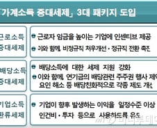 가계소득 끌어올려 내수활성화, 稅혜택 3종세트 나왔다