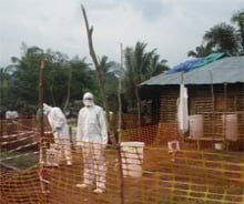 WHO, 에볼라 사망자 887명…나이지리아, 의사 감염 확인