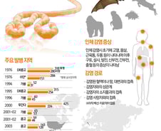 CDC "에볼라 美 확산 불가피…피해 크진 않을 것"