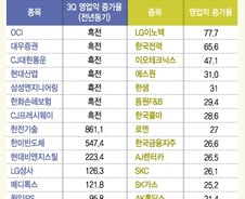 [내일의전략]실적 호전주에 주목하라