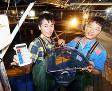 [르포]SKT 스마트 양식장서 자란 장어 맛은?