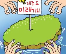 제주 '임야·폐가' 경매에 사람들이 몰리는데…무슨 일?