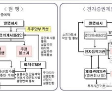 [단독]종이주식 없는 전자증권제 도입 본격추진