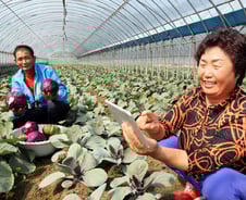 "나 없이도 밭에 물 주고 창 여는 요놈 좀 보소"