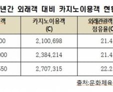 외국인카지노 270만명, 담당 공무원은 달랑 '2명'