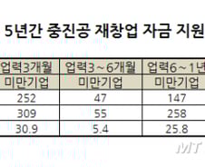 中企 재도전 돕는다더니...재창업자금, 초기 실패 기업 지원 '0'건
