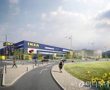 국감에 불려간 '공룡' 이케아, 무슨 말 할까?