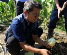 [르포]착한 온라인 장터 '이웃농촌', 농가에 직접 가보니  