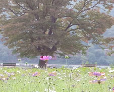 벌거벗은 몸으로 세상을 떠도는 사람들