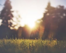 성공하는 사람들이 매일 제일 먼저 하는 일