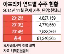 "한국건설, '흑진주' 대륙 아프리카를 캐라"