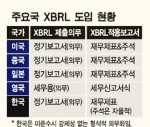 [단독] 모뉴엘 사태 막자…재무보고언어 XBRL 전면 도입