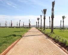 대우건설, '남아프리카 40년 숙원사업' 해결사로 나섰다