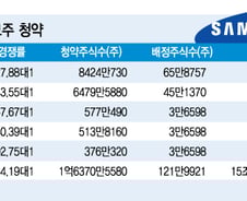 [뉴스&팩트]삼성SDS 상장 쟁점의 '역지사지'