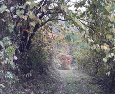 산골 3년, 세 가지 원칙과 세 가지 질문