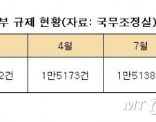 [단독]다음달 정부, 규제개혁 총결산...경제혁신 3년계획 속도낸다