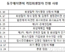 [단독]애니 1위 제작사 동우, 6개월만에 기업회생절차 종결