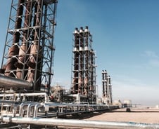 [르포]기네스북 '눈앞', 요르단 사막의 한전 오아시스