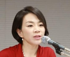 조현아 '땅콩 회항' 불똥…경복궁옆 호텔 7전8기 추진 위기