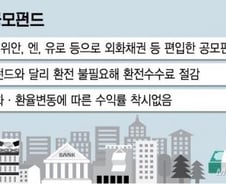[단독]위안화·달러화로 투자 공모펀드 내년 첫 출시