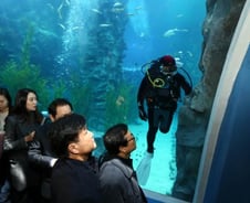 [단독]아슬아슬 '변전소 위 수족관'…제2롯데 편법 의혹 