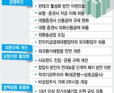 증권·보험 자금 이체·외환송금업 허용