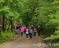 자연휴양림서 모노레일·로프체험 이용 가능해진다