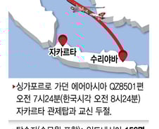 실종된 에어아시아 'A320-200'은 어떤 기종?