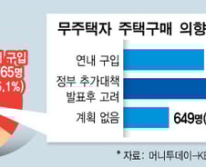 '내집보다 투자'…무주택자 80% "수익형 투자한다"