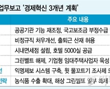 '경제혁신' 원년, 여전히 안갯속… 구조개혁 속도낼 수 있을까