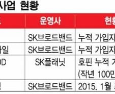 [단독]SKT, '미디어 사업' 직접 챙긴다…KT와 전면전?
