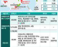 '홍콩+싱가포르+라스베이가스' 한국에도 꿈의 도시 생긴다