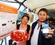 '스마트팜' 도입한 장씨 "결혼 30년만에 여행도 다녀왔죠" 