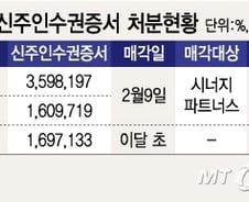 [단독]범현대가 현대상선 유증 '불참', 신주인수권 매각