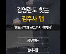 "김 과장님, 접대한도 100만원 남았습니다"