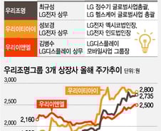 [단독]우리조명 3개사, LG 출신임원 대표로 영입