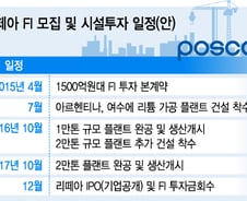 [단독]검찰에 놀란 포스코, 아르헨 리튬 투자 등 해외투자 올스톱
