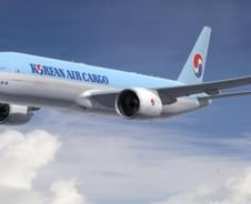 [뉴스&팩트]바람잘날 없는 대한항공, '유골분실' 논란 진실은