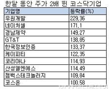한달 전에만 샀어도… 주가 2배 뛴 기업 10곳은?