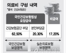 [단독]자기부담금 올린 실손보험, 8월 이후로 연기