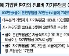 [단독]자기부담금 올린 실손보험, 8월 이후로 연기