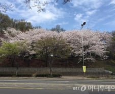 '이젠 잊자'는 세상에 "잊지 말자"고 외치다